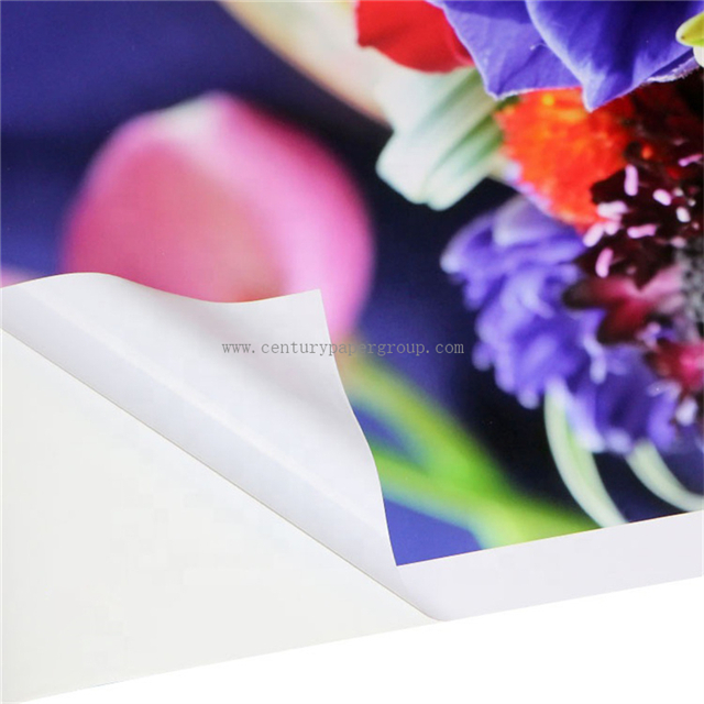 Película autoadhesiva de vinilo autoadhesivo de PVC