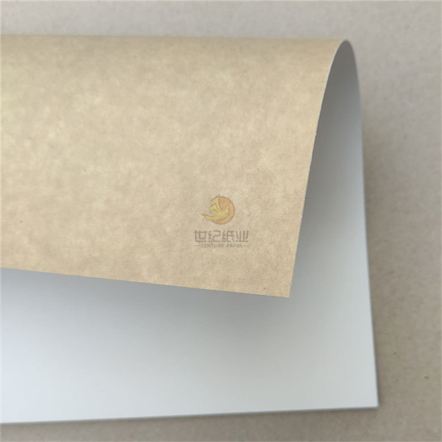 Papel Kraft revestido blanco