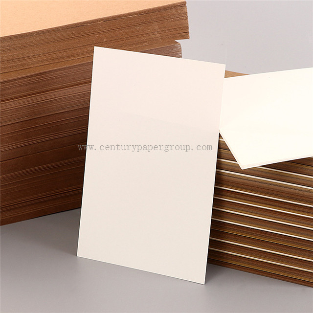Fbb Board/Ningbo Paper/C1s Ivory Board/Swedish Board-300g Papel