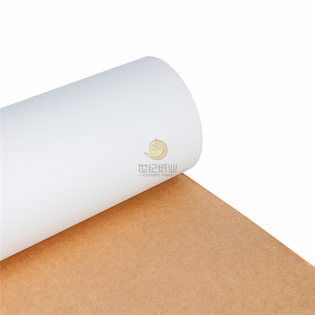 Color blanco superior con tablero de papel Kraft Back Duplex