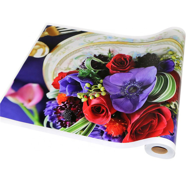 Vinilo Autoadhesivo Imprimible con Tinta Solvente / Eco-Solvente 