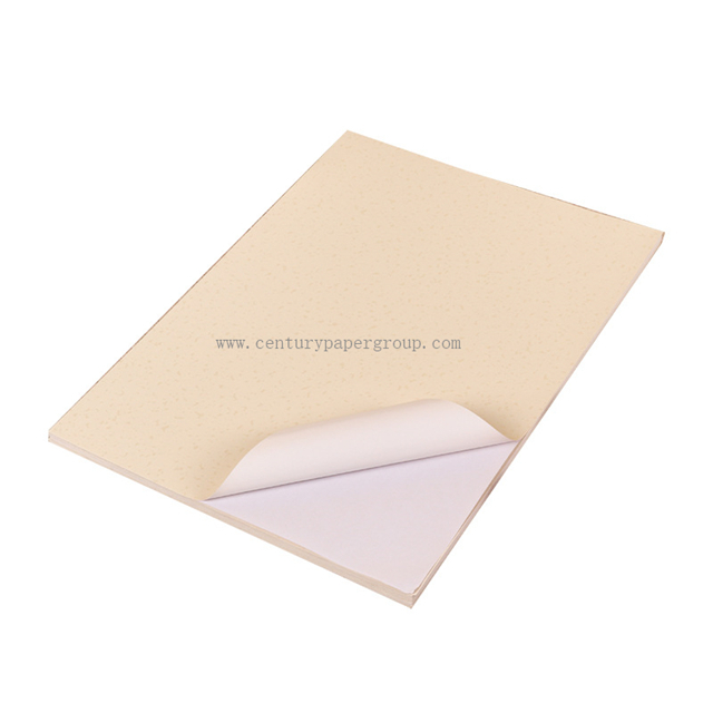 Papel satinado revestido de 80 g/m²